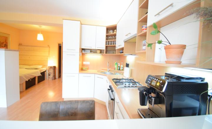ACCENT REAL / PEKNÝ, KOMPLETNE ZARIADENÝ 1-IZBOVÝ BYT 45M2 S PARKOVACÍM MIESTOM - fotografia 5