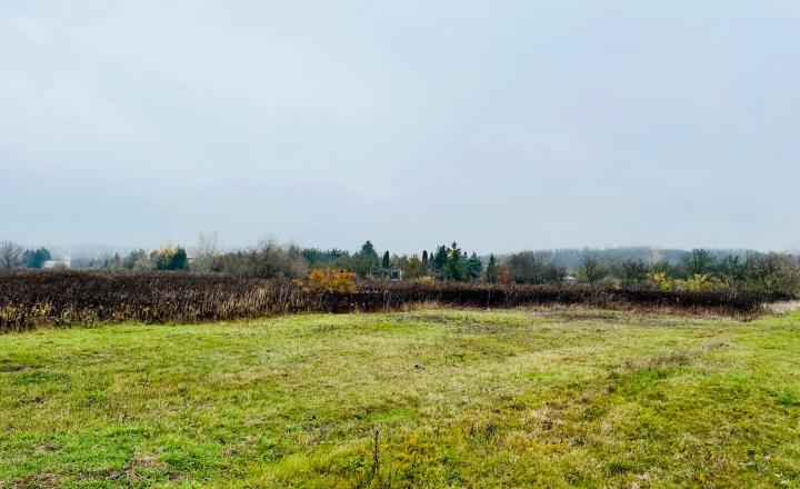 PEKNÝ REKREAČNÝ POZEMOK (ZÁHRADA, 818M2) V ČUNOVE