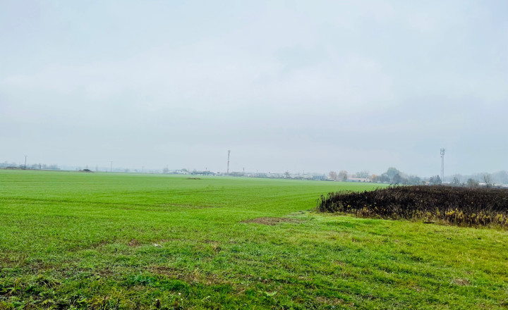 PEKNÝ REKREAČNÝ POZEMOK (ZÁHRADA, 818M2) V ČUNOVE - fotografia 3